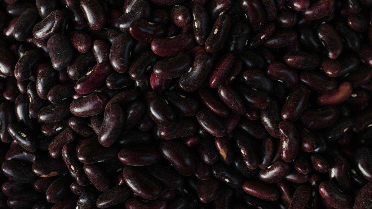 Esse alimento está no prato de muita gente, protege o coração e ajuda a emagrecer