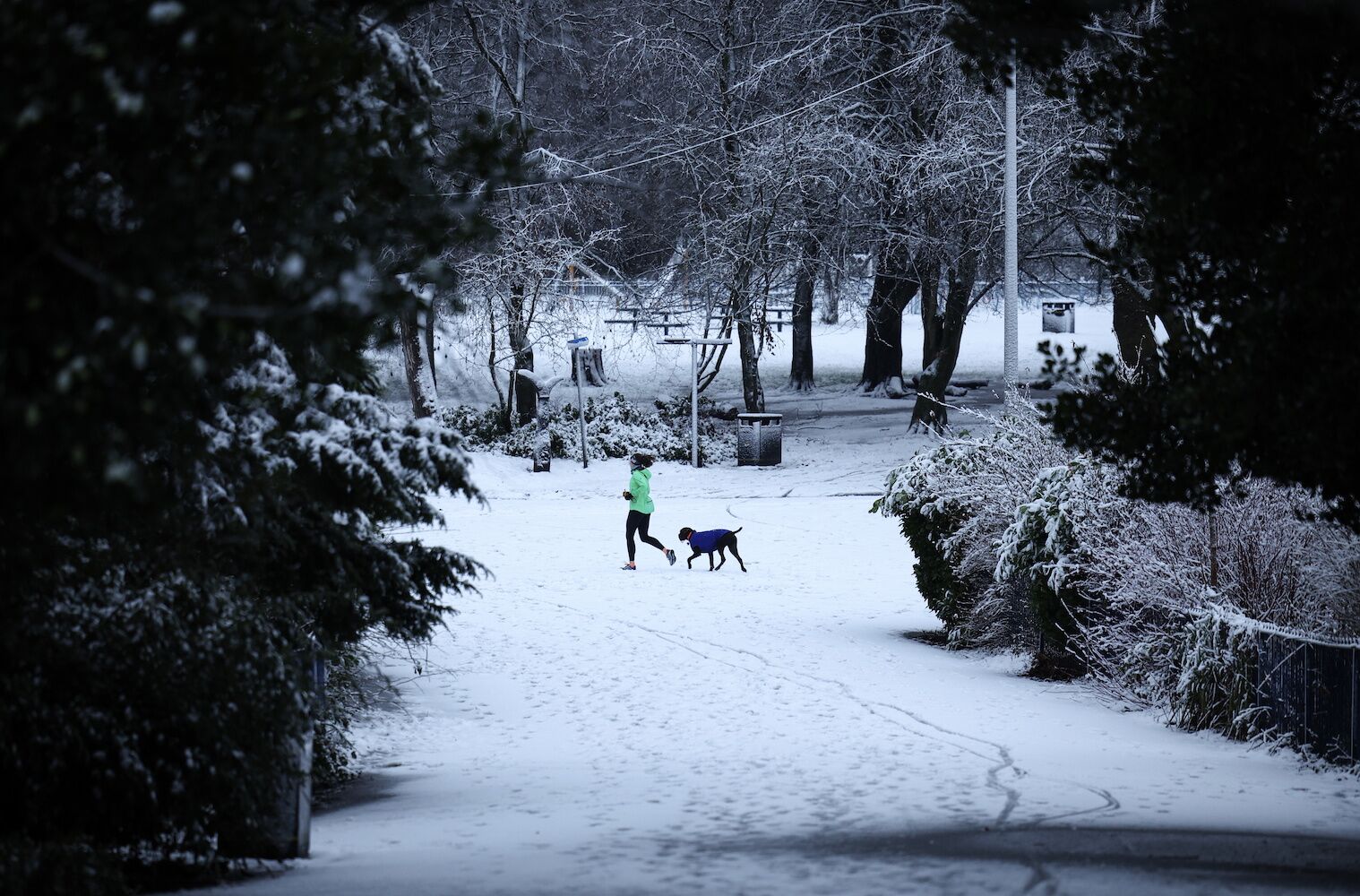 No futuro cairá neve em Lisboa como em Nova Iorque. IPMA explica