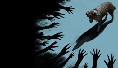 'Good Boy': Terror sobre cachorro médium terá lançamento AMPLIADO nos cinemas após pico de buscas no Google