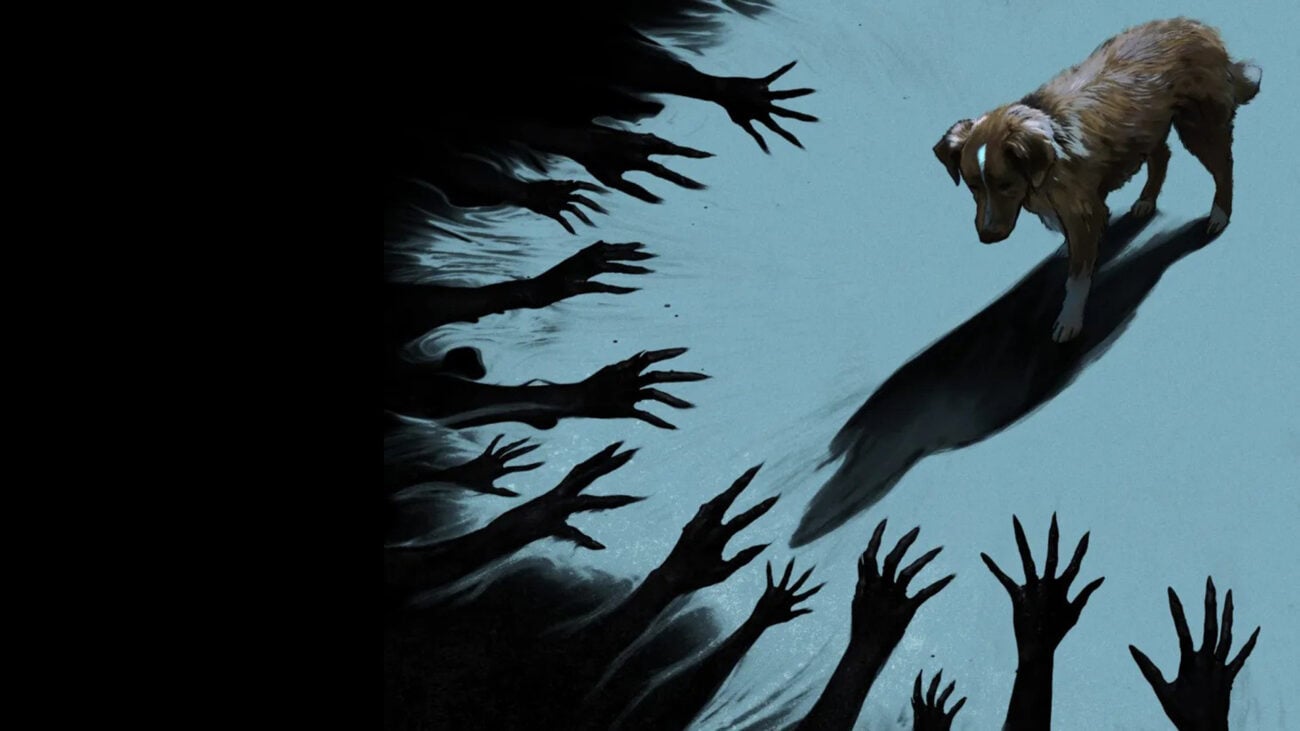 'Good Boy': Terror sobre cachorro médium terá lançamento AMPLIADO nos cinemas após pico de buscas no Google