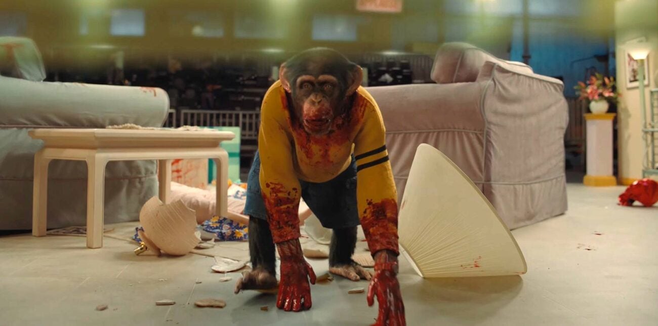 'Primate': Diretor de 'Medo Profundo' comandará novo TERROR com chimpanzé assassino