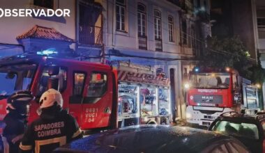 Incêndio. Homem assistido após gato acionar placa de indução – Observador