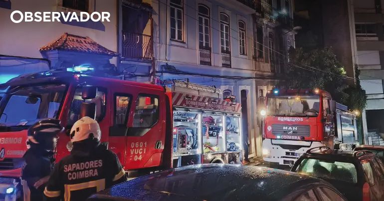 Incêndio. Homem assistido após gato acionar placa de indução – Observador