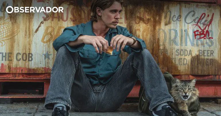 A fugir de mafiosos com um gato ao colo em Nova Iorque – Observador