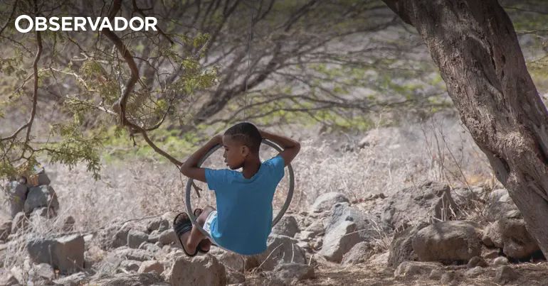 "leveza gentil e corajosa" – Observador