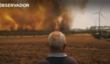 Três jovens detidos por fogo florestal em Almada – Observador
