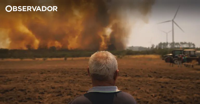 Três jovens detidos por fogo florestal em Almada – Observador