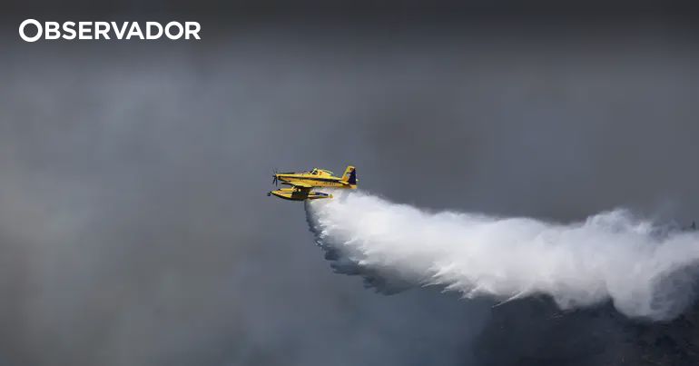 Canadair sofre danos estruturais durante operação no Douro – Observador