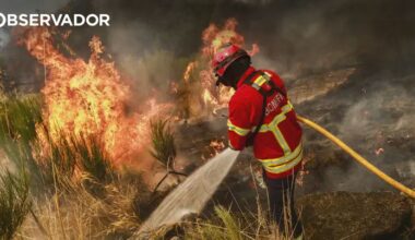 Fogos. Porque não foi pedida ajuda e a evolução: 5 respostas – Observador