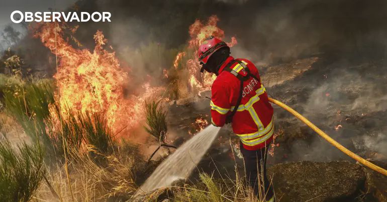Fogos. Porque não foi pedida ajuda e a evolução: 5 respostas – Observador