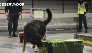 PJ detém mulher com um milhão de doses de heroína – Observador