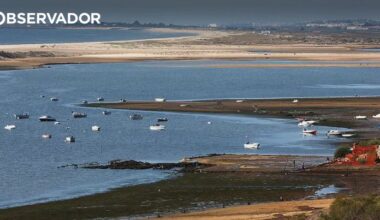 Três crianças estrangeiras resgatadas em Cacela Velha – Observador