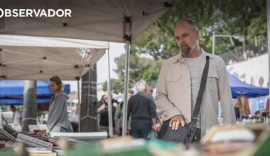 Na Feira da Ladra, à procura de tesouros com Luís Sequeira – Observador