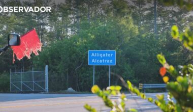 EUA. Juíza ordena encerramento do "Alligator Alcatraz" – Observador