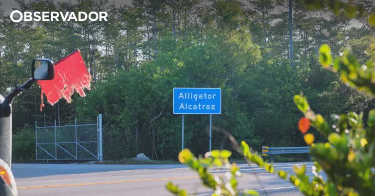 EUA. Juíza ordena encerramento do "Alligator Alcatraz" – Observador