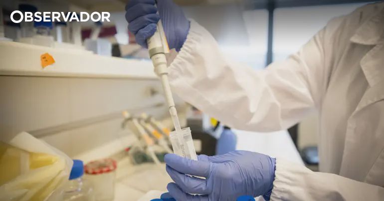 O que esperar da nova "super agência" para a Ciência? – Observador