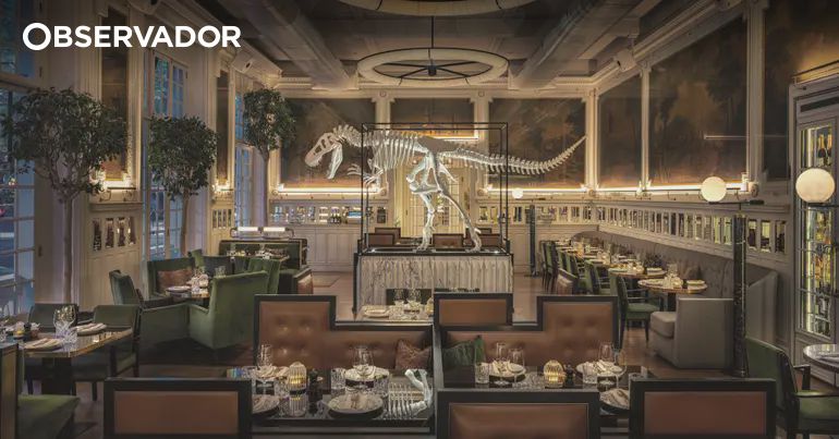 Desacatos entre elite angolana em restaurante de luxo – Observador