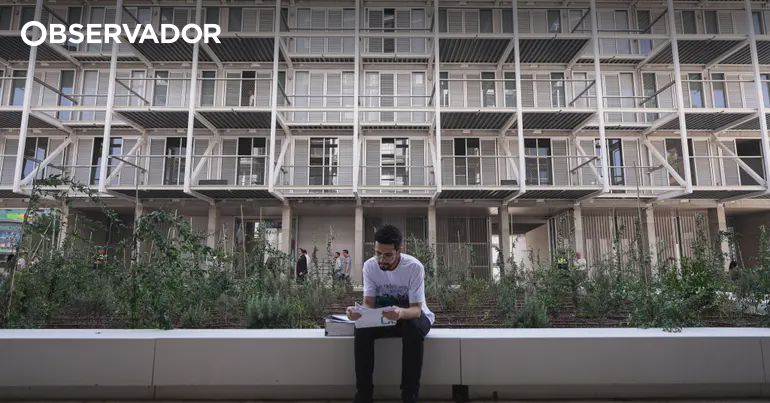 Graves irregularidades no apoio extraordinário à renda – Observador