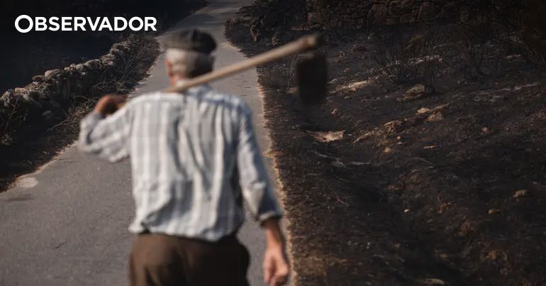 Autarca morreu apanhado pelo "vento que parecia o Diabo" – Observador