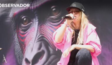 Guano Apes cancelam concerto em Portugal – Observador