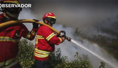 Detida suspeita de atear fogo na quarta-feira em Arouca – Observador
