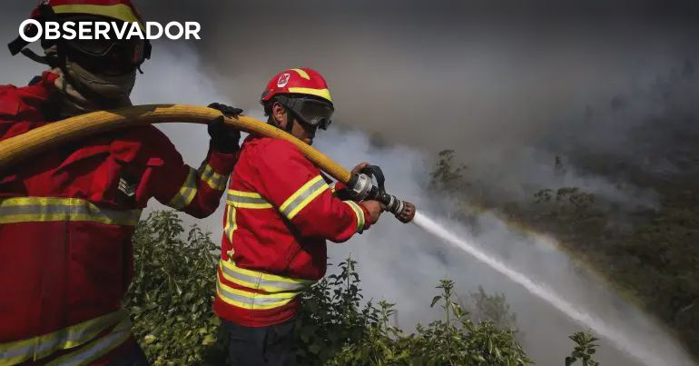 Detida suspeita de atear fogo na quarta-feira em Arouca – Observador