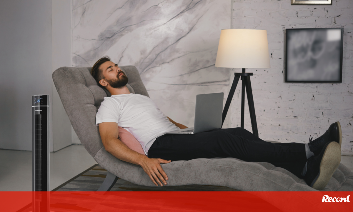Boa, bonita e barata: esta ventoinha é uma surpresa de verão - Indica