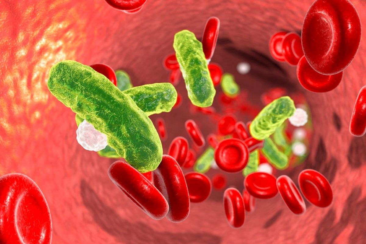 Presença de Faustão na fila do transplante decorre de uma infecção bacteriana com sepse e é condição médica grave – Foto: Reprodução/ND