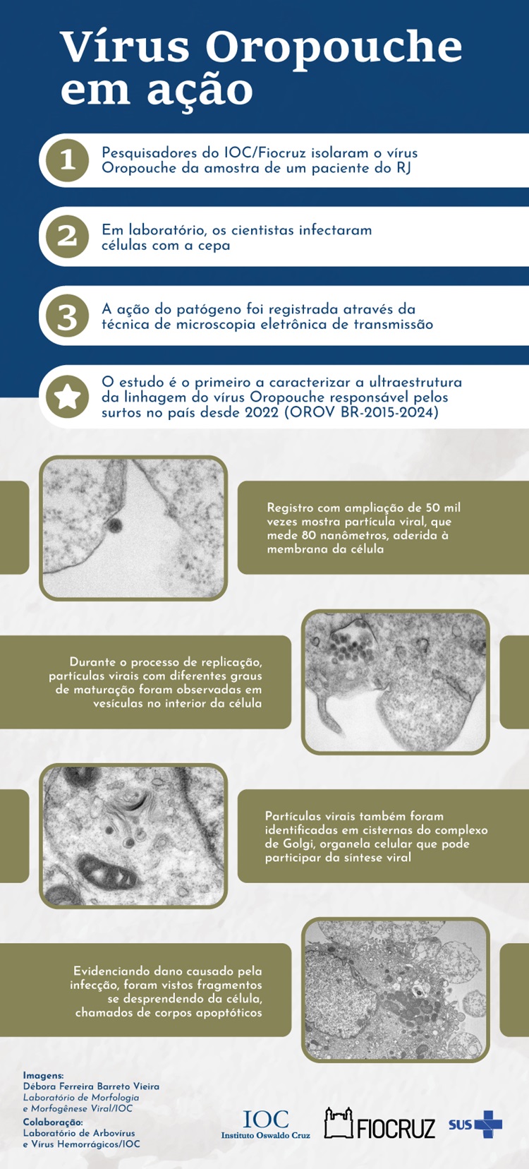 Infográfico.