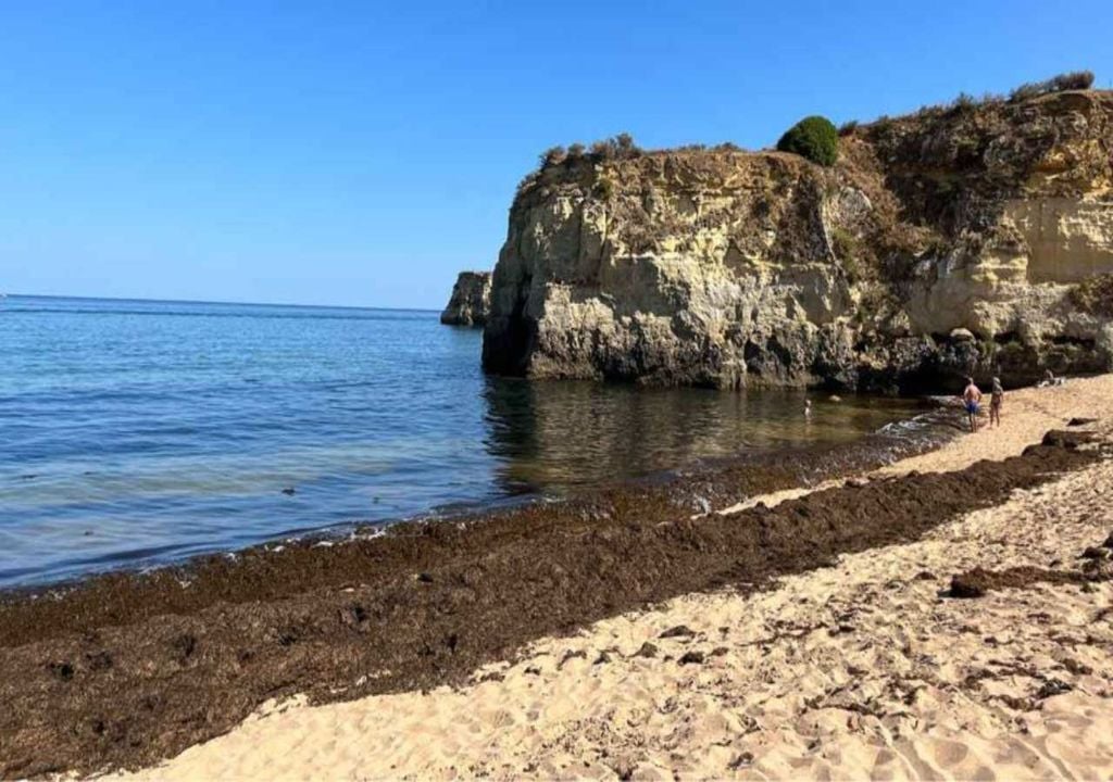 Barlavento Algarvio