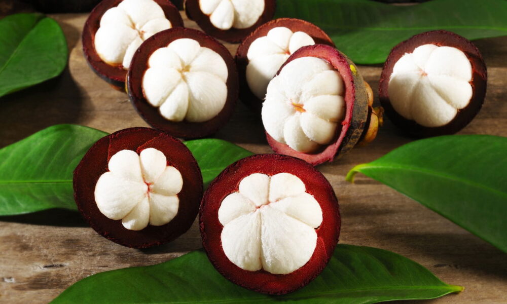 Essa fruta foi eleita a melhor do mundo e você pode plantar em casa