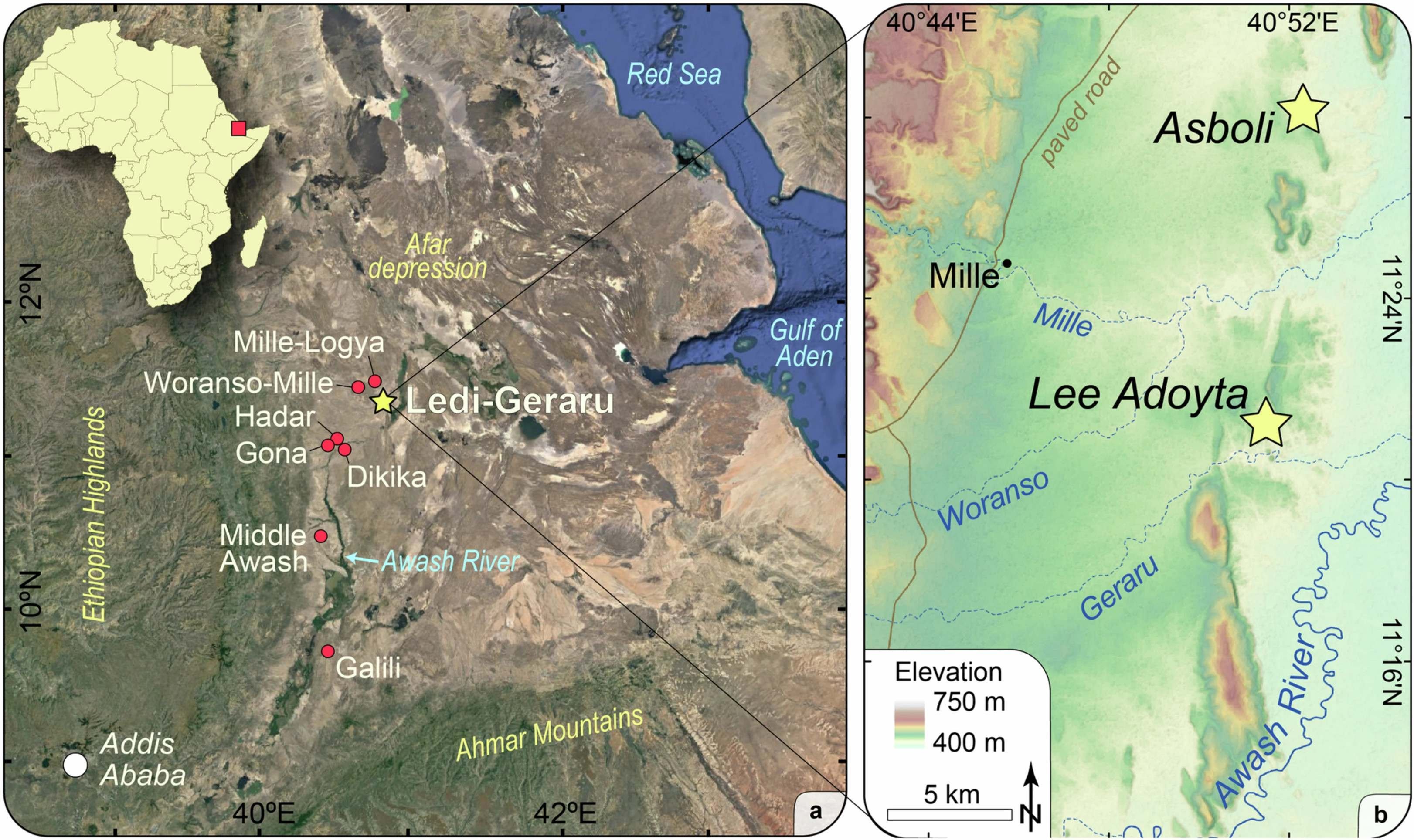 A área do Projeto de Pesquisa Ledi-Geraru (estrela amarela) está localizada na extensão norte dos sítios paleontológicos (círculos vermelhos) na depressão de Afar, região de Afar, Etiópia. Dentro da área do projeto Ledi-Geraru, os sítios fósseis de Lee Adoyta e Asboli estão localizados a aproximadamente 12,5 km de distância um do outro