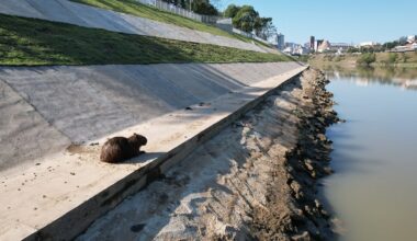 Aniversário de Blumenau terá capítulo final de "novelas" de obras e projetos