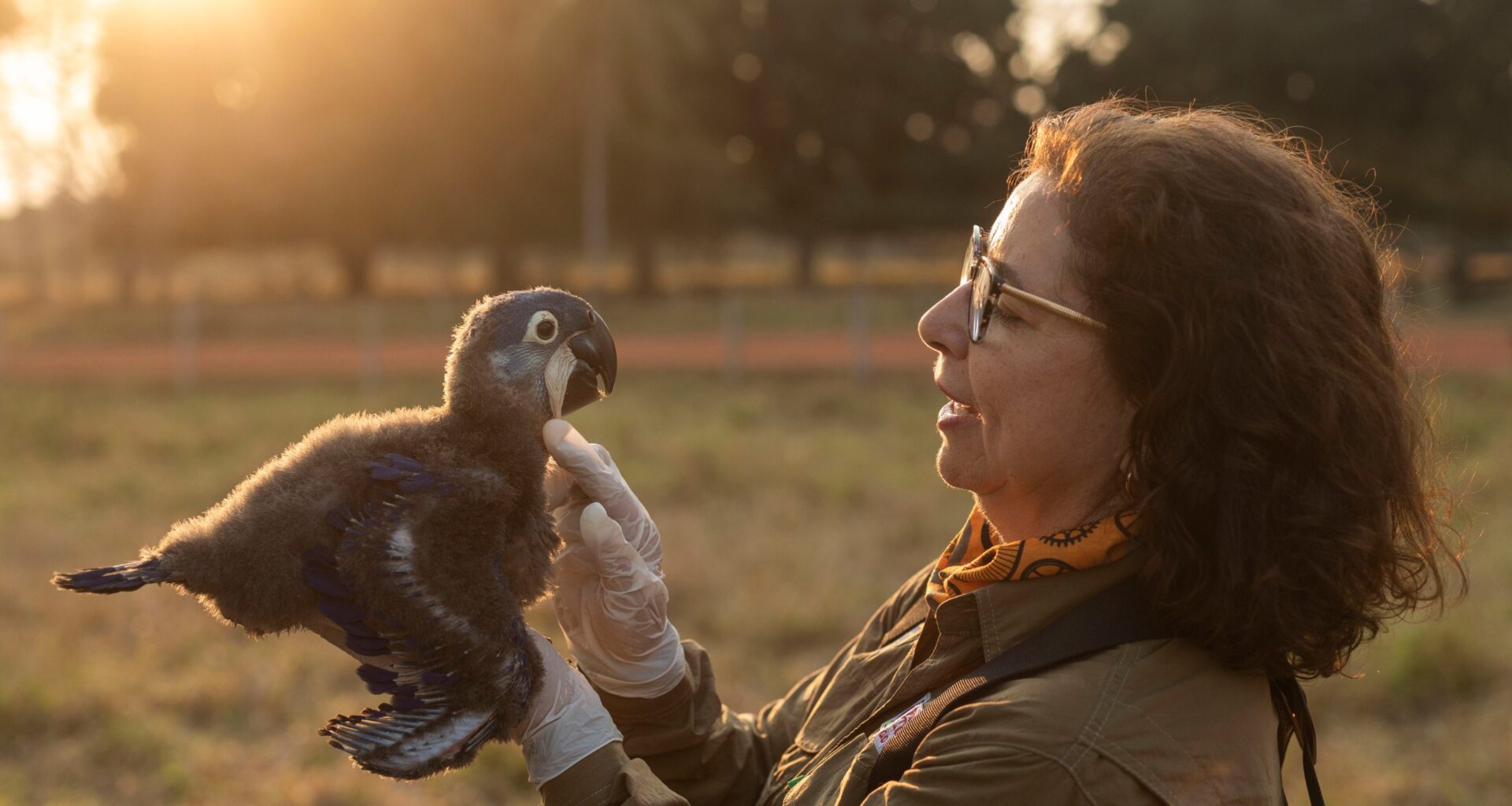 Mulheres na Conservação: documentário gratuito na Ufes