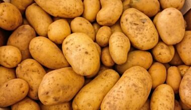 A lógica da batata reside afinal num tomate com nove milhões de anos - Agroportal