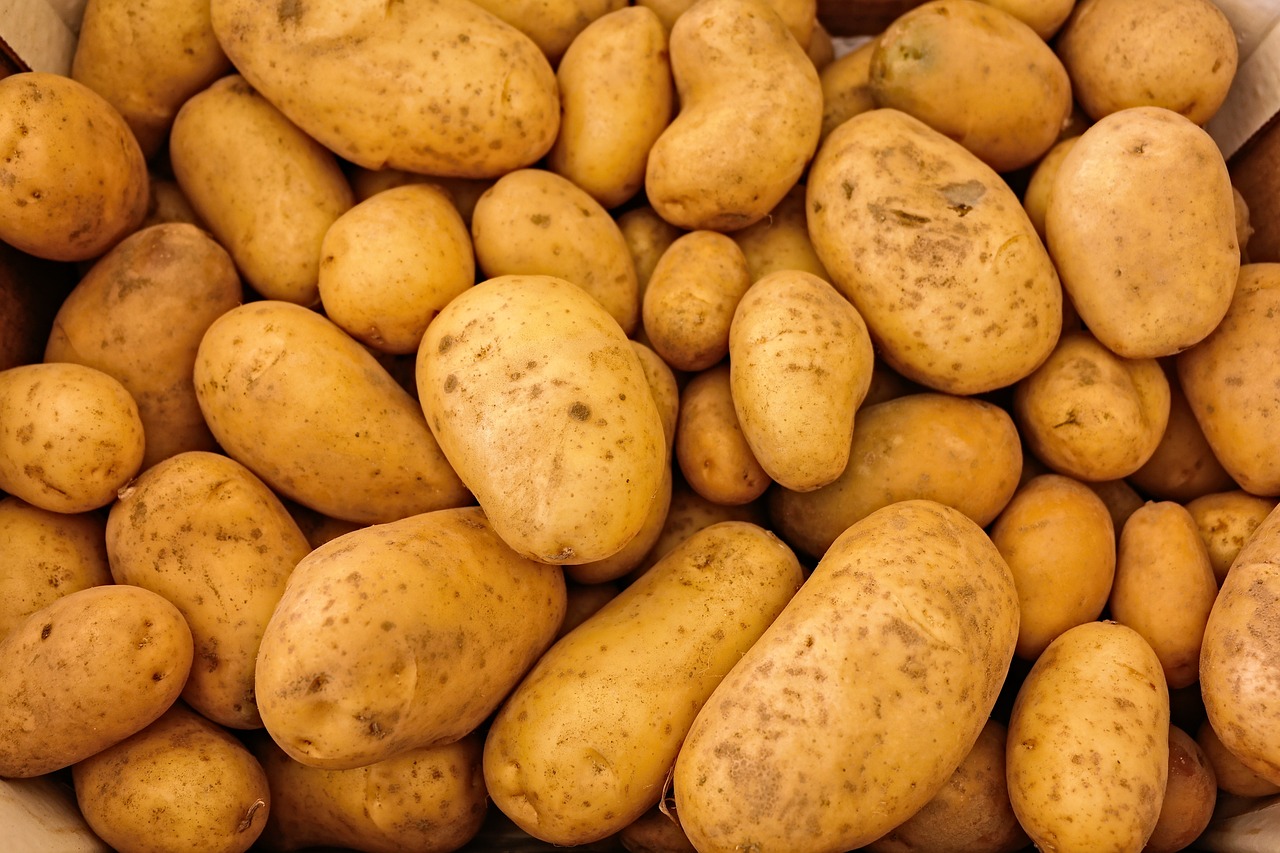 A lógica da batata reside afinal num tomate com nove milhões de anos - Agroportal
