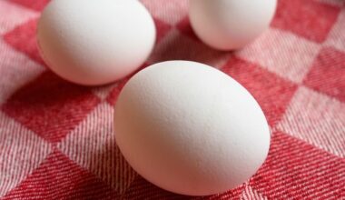 Ingere demasiadas proteínas? Cuidado, os cientistas dizem que consumir em excesso é mau para a sua saúde!