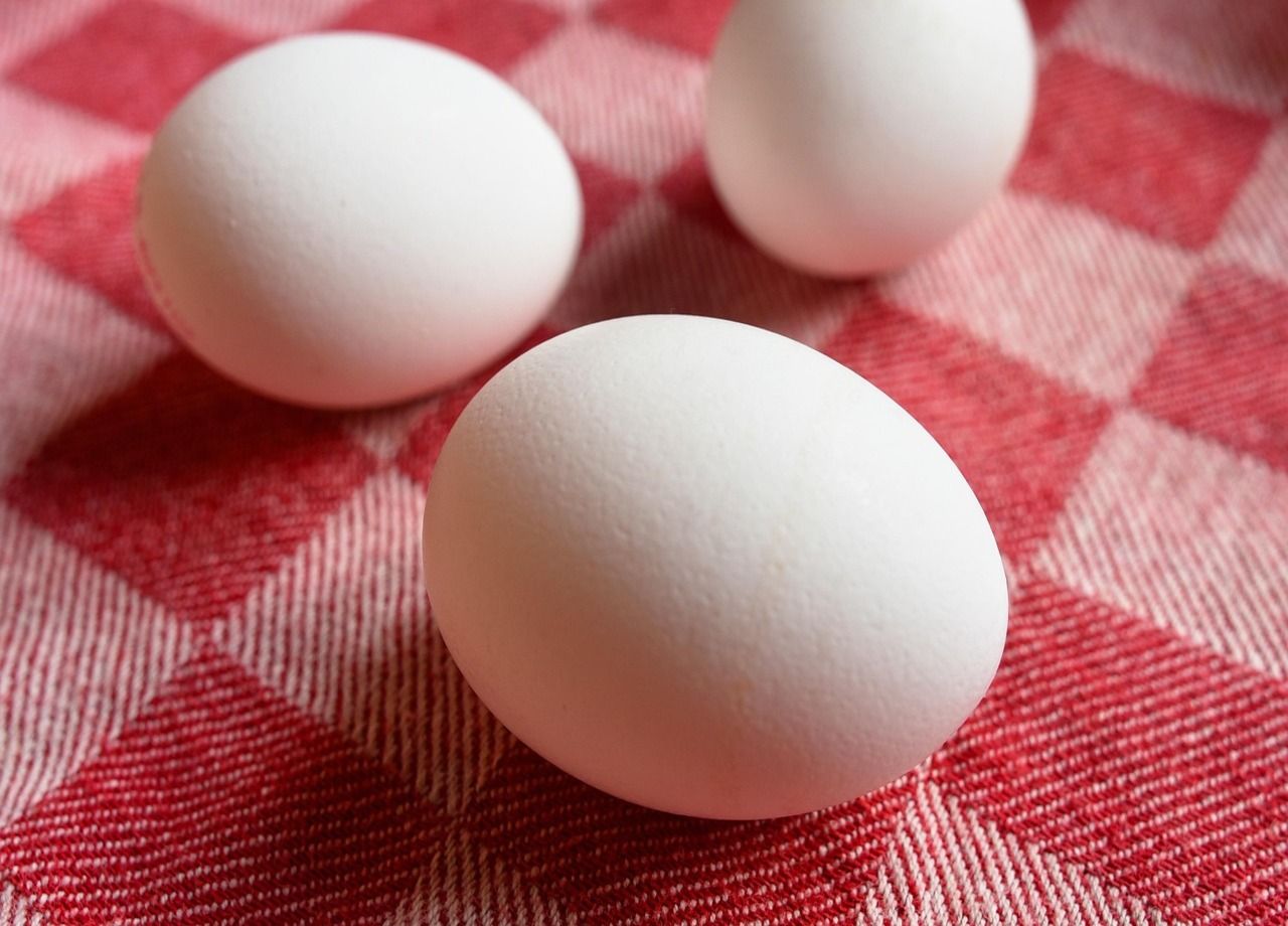 Ingere demasiadas proteínas? Cuidado, os cientistas dizem que consumir em excesso é mau para a sua saúde!
