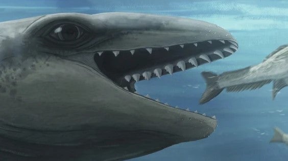 Cientistas descobrem baleia pré-histórica 'enganadoramente fofa' e semelhante a um Pokémon