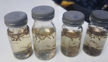 Secretaria Municipal de Saúde confirma mais um óbito por dengue em Araçatuba
