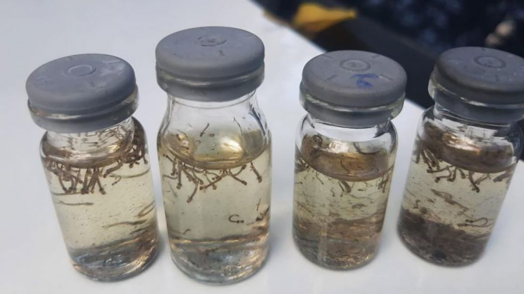 Secretaria Municipal de Saúde confirma mais um óbito por dengue em Araçatuba