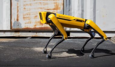 A solução de Hong Kong para combater a chikungunya: cães robóticos