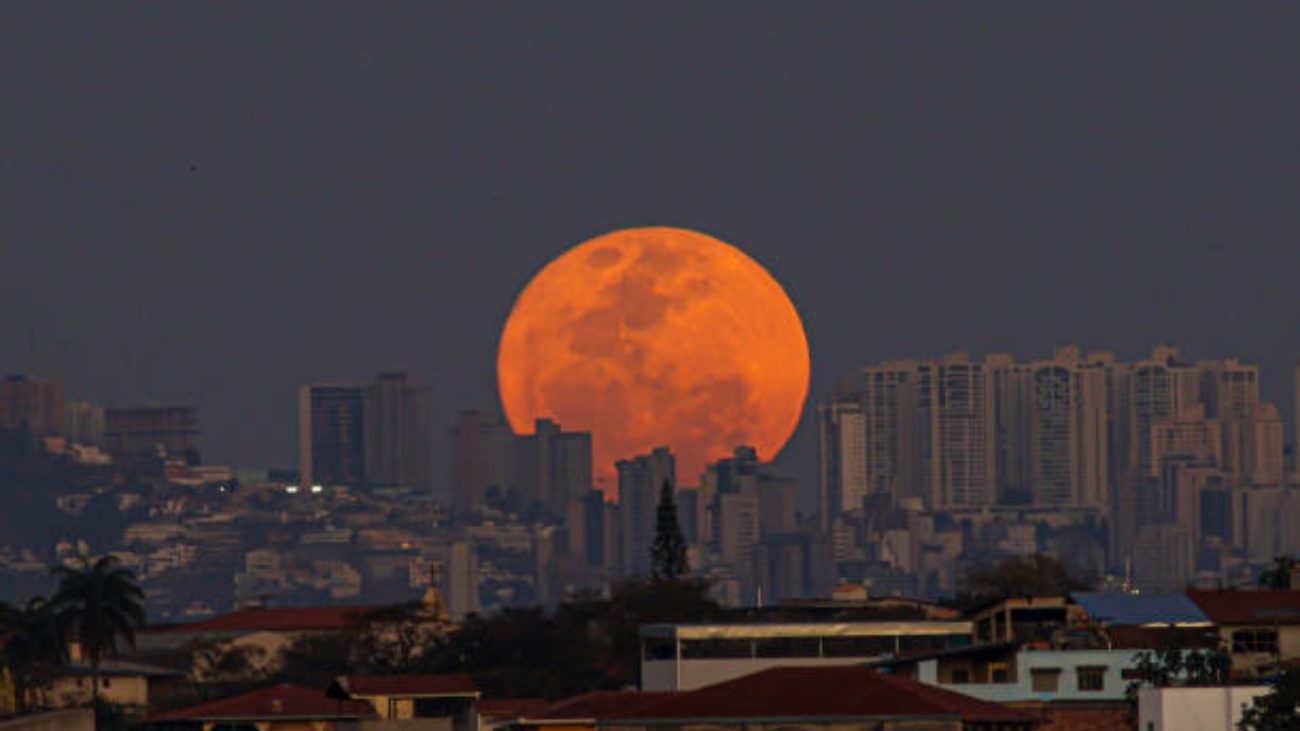 Imagem da lua do esturjão gigante no céu noturno, sobre um cenário urbano com prédios e casas em primeiro plano.
