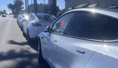 Residentes queixam-se de Teslas com matrículas temporárias a ocuparem as ruas