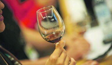 ASAE e Vinhos Verdes, do Douro e do Porto controlam autenticidade das uvas nas vindimas