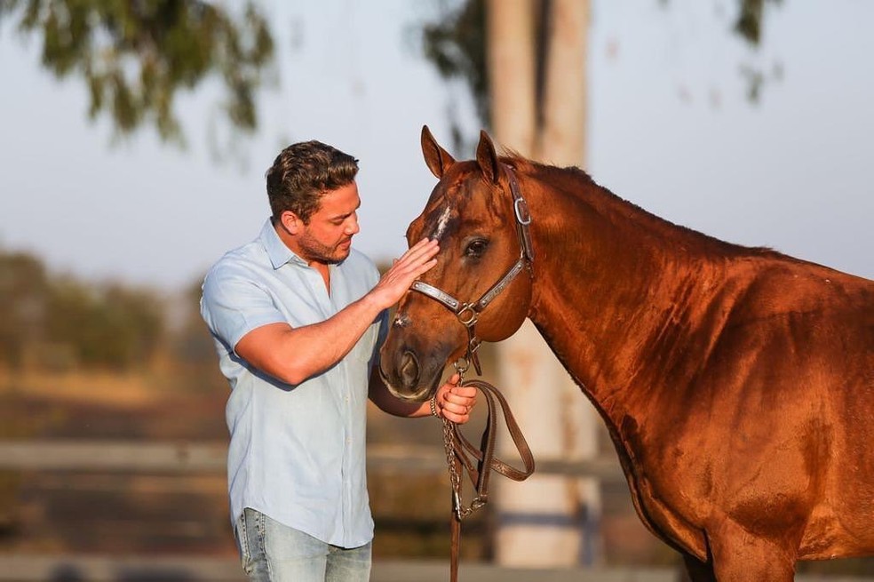 Wesley Safadão com um de seus cavalos — Foto: Reprodução/Instagram