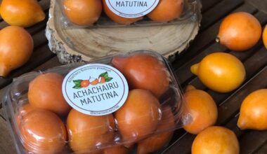 Sabe o que é achachairu? Não comeu nem ouviu falar? Conheça a fruta exótica que o Brasil já exporta