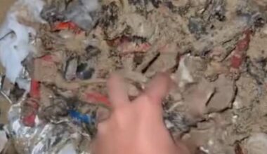 Resíduos de foguetes ‘mancharam’ a praia no Porto Santo (com vídeo)