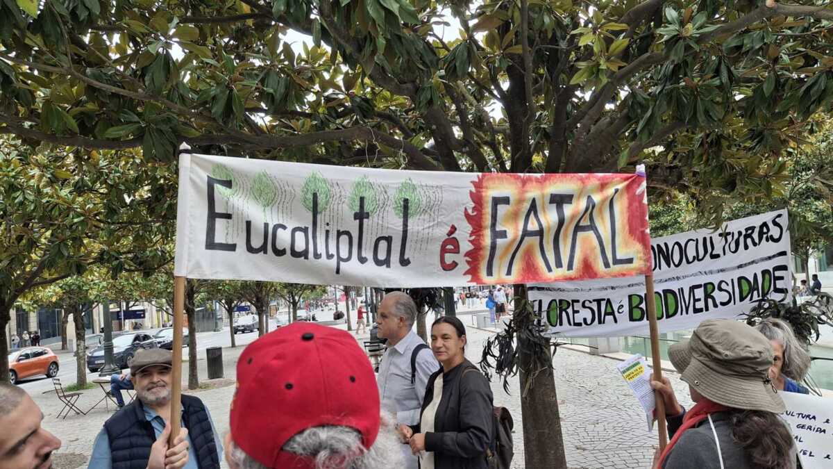 Jornal de Notícias Logo