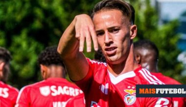 Benfica: Hugo Félix junta-se a Martim Neto no Elche